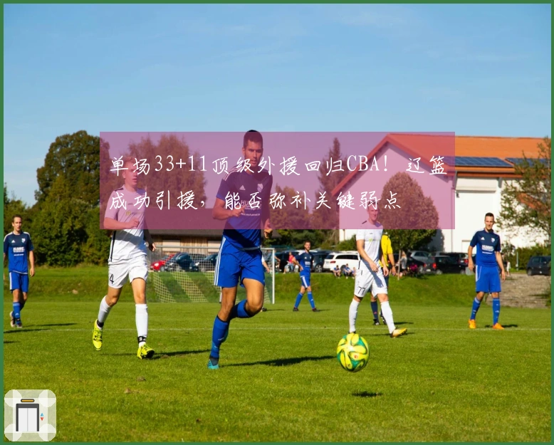 单场33+11顶级外援回归CBA！辽篮成功引援，能否弥补关键弱点