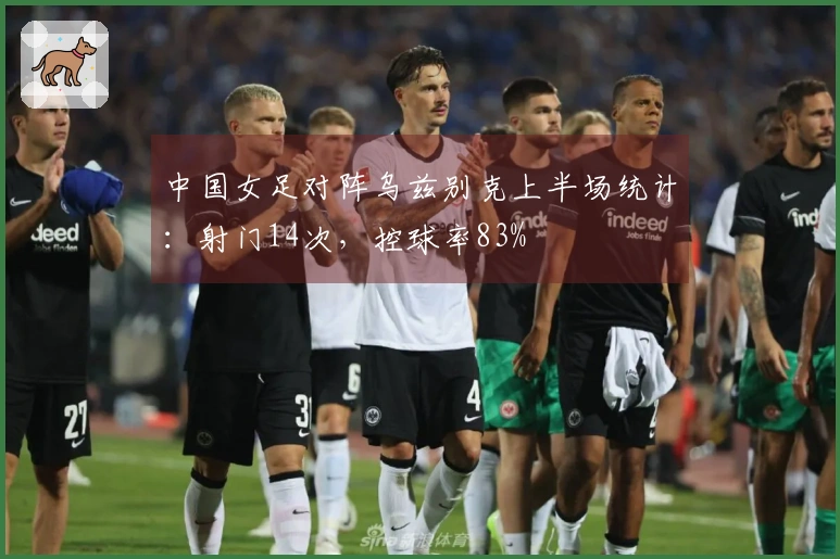 中国女足对阵乌兹别克上半场统计：射门14次，控球率83%