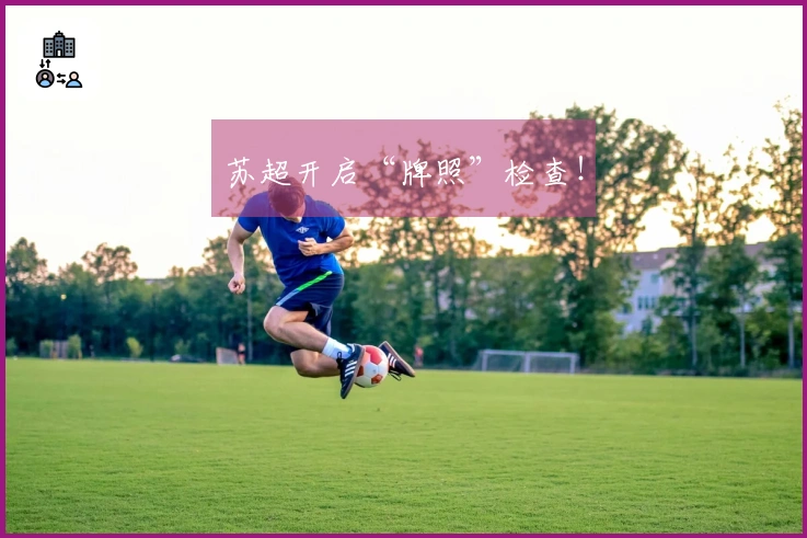 苏超开启“牌照”检查！